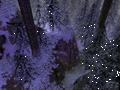 ss/WinterForest.gif